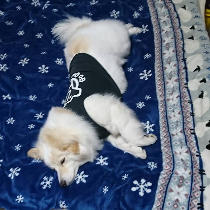 A60aedef 7bc4 4cb6 a73d 5a24cd1560d5