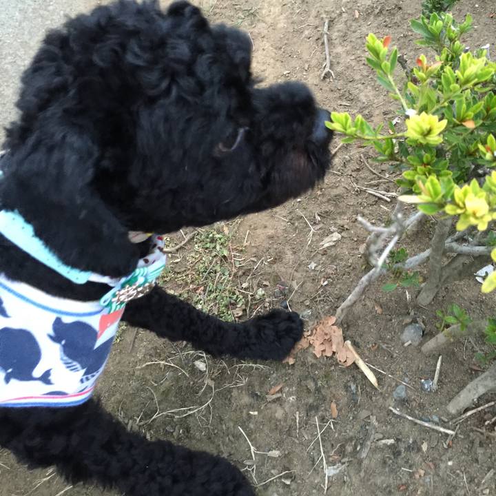 A60d084e b9d2 4954 b888 86c4b454d029