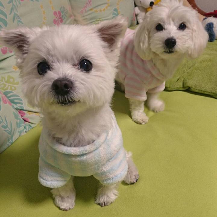 A60f843b 0275 41e7 b666 8a45827a2db4