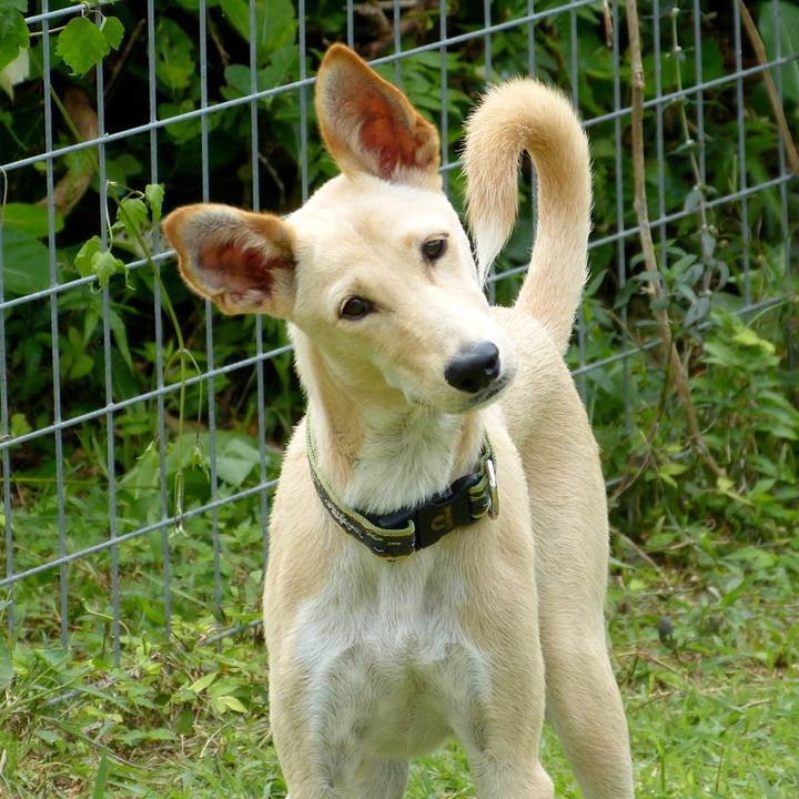 A60f849e 123f 47eb b181 ab54ac4fbd2f