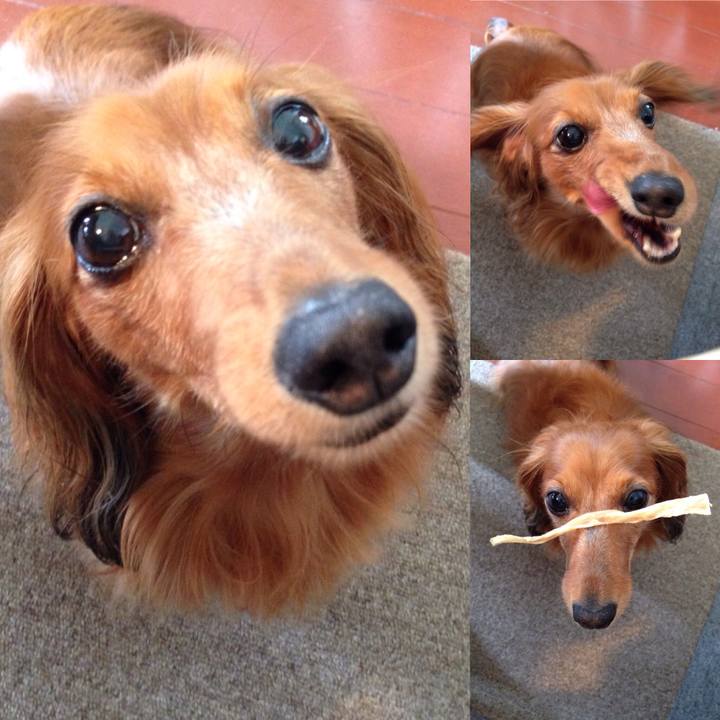 A60fbe95 fe67 499f a3b2 f678f394b3f8