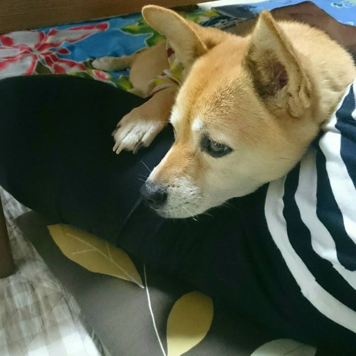 A60fc344 74a4 4f2a a804 411747ebe90d