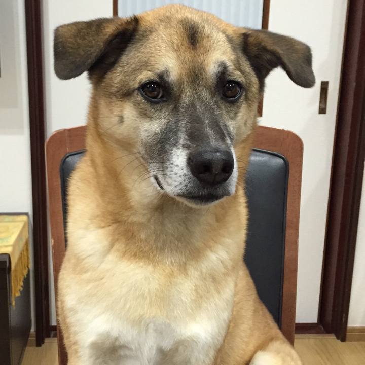 A60fdd9a e367 461d ad27 15ae2df59e50