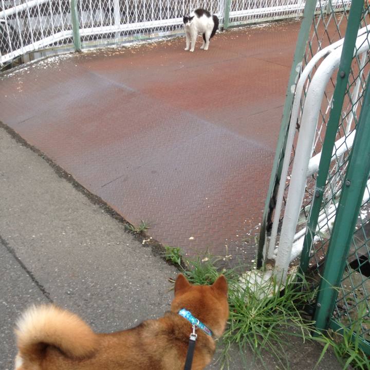 A61051c3 0fa5 4fe5 b1f7 8bff79312460