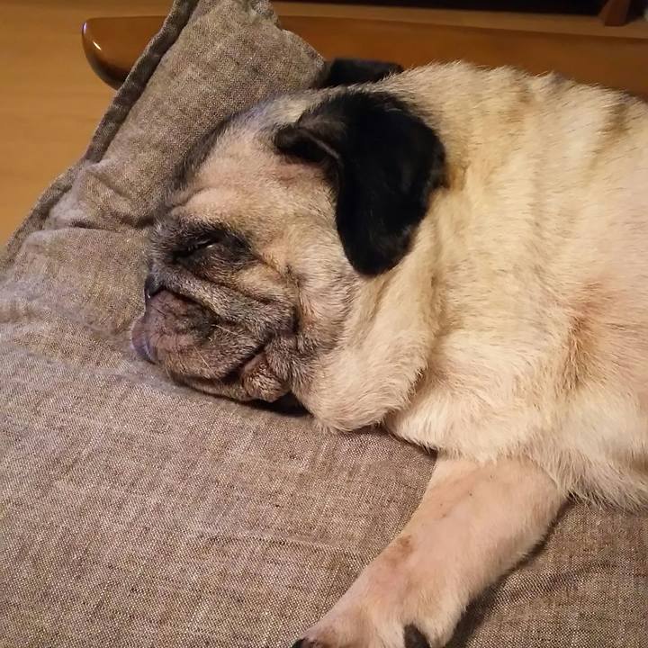 A61070a1 a37f 4d75 95e9 621491d3a7a2