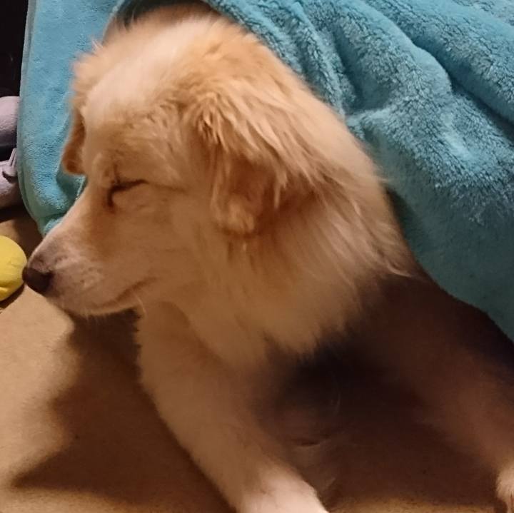 A610779c 74df 417c bee8 c41e4ce0a40b