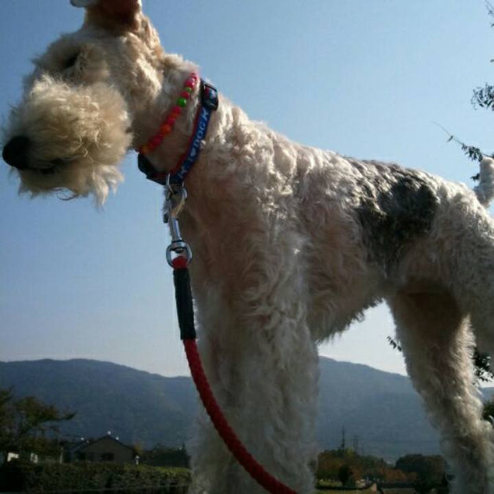 A610b8b6 99a7 4922 a2f4 216a12b207e7