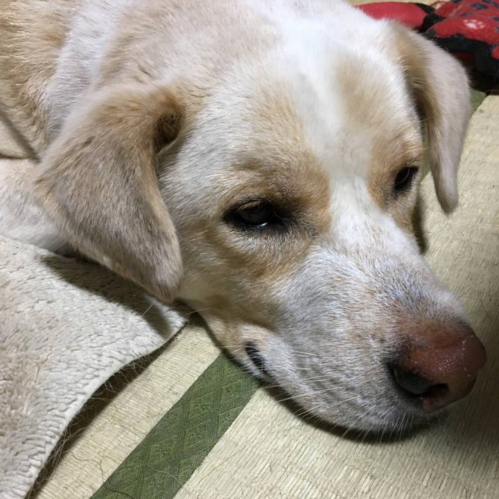 A610cbfe ab5f 46f8 b9d3 73f0f6c08e07