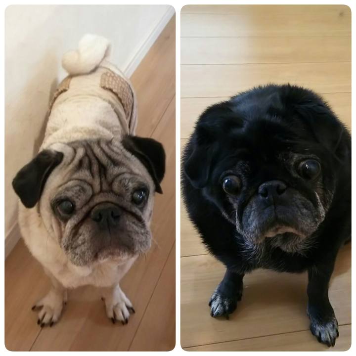 A6117170 8fed 4220 bd21 f54ea5e757cb