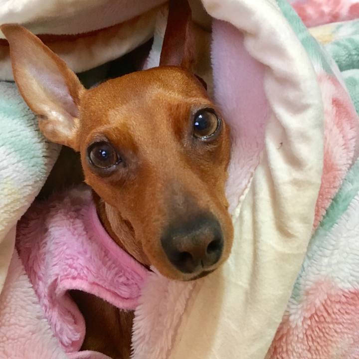 A6118dd1 82ff 4801 8656 8c331847779e