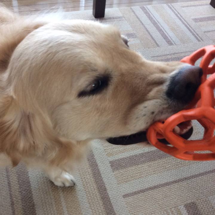 A6124818 67a0 4d3d 9f78 4f3d59e3ae26