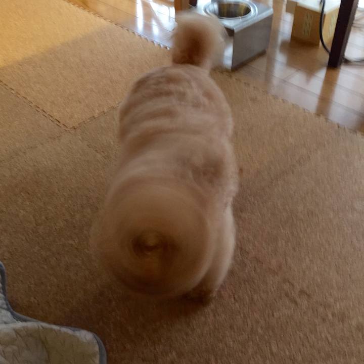 A6128c20 a98c 496a a4d8 9a72ec15433a