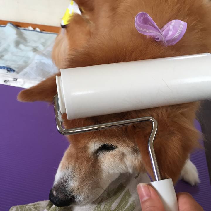 A613ecb2 f272 443a ac6d a606d454c9a2