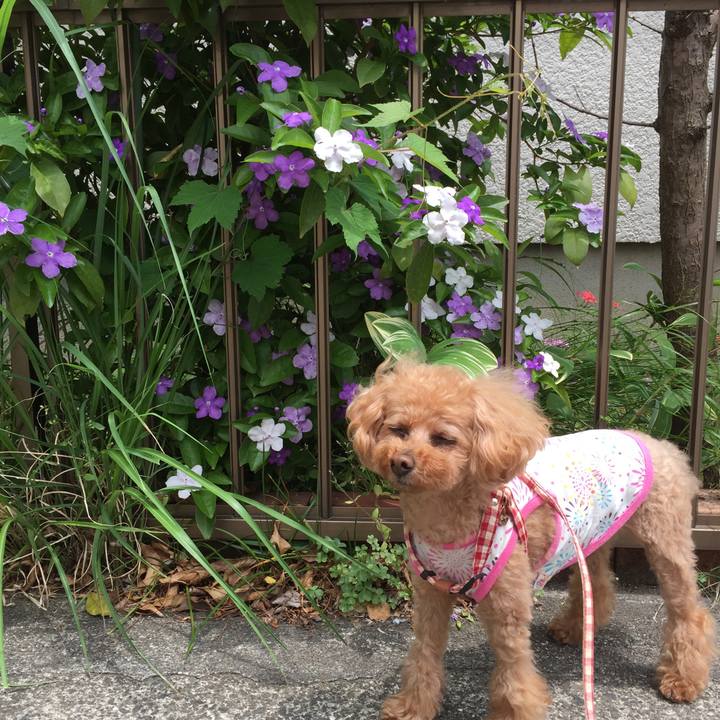 A613fbb7 b381 4047 b0d6 9fc5ee289987