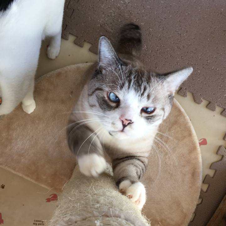 A6142e35 6f29 4cbf 8de3 cf04a44d25e1