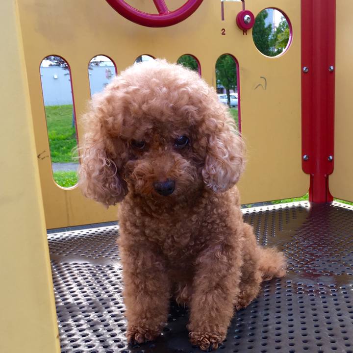 A6145fda 8c46 4bde 9e97 4c9081376bd7