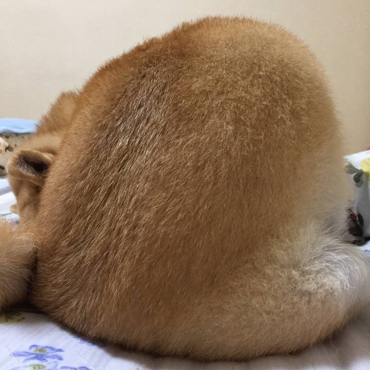 A614852b c0c8 4543 b55b df3315563b79