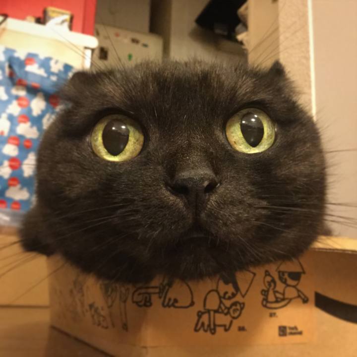 A6151d9a 61fe 45e6 bbe5 08ba83f3ffc1