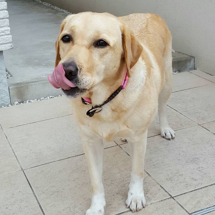 A6154625 4748 4255 97a7 987cd632a3b3