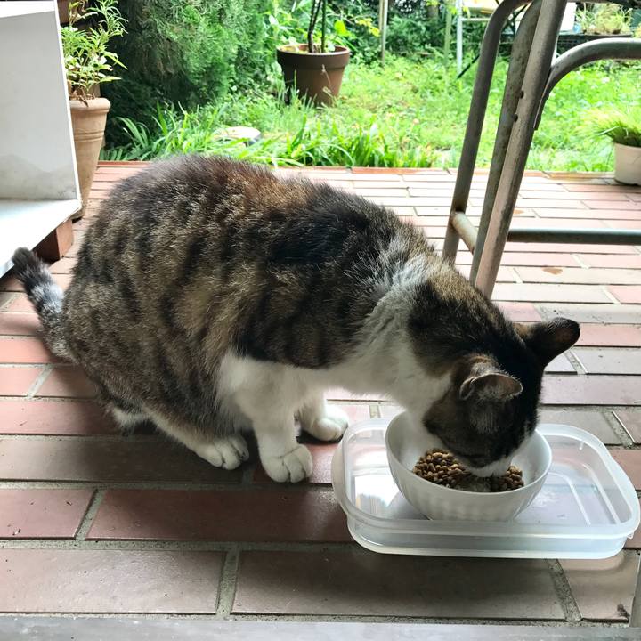 A61563a0 7a19 4bce a7c4 40d668cb2c52