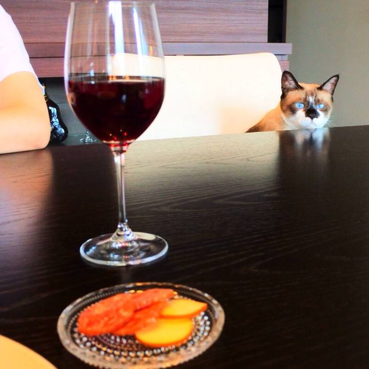 A6159e3b a340 4483 953b 05165b72e956