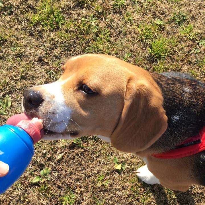 A6159e92 acac 49d3 bb5b 7f97375709d1