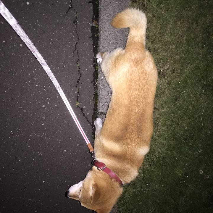 A615c7a8 48e3 462c 9ca5 aa62981cffc6