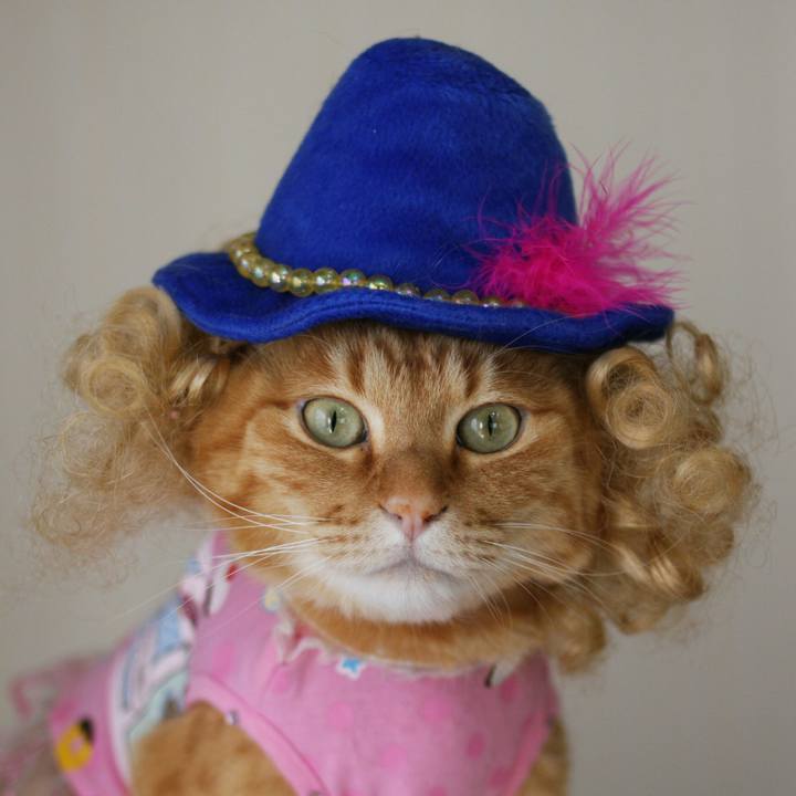 A616fd8d 7fe5 4eef bce2 f5f2392dcfc1