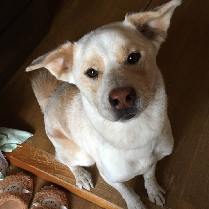 A61711bd 4b59 4228 adaa 973934e57103