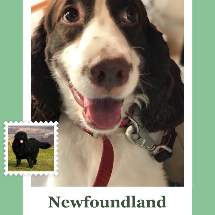 A6173595 bff2 490d 98c1 523d0c2c0ed2