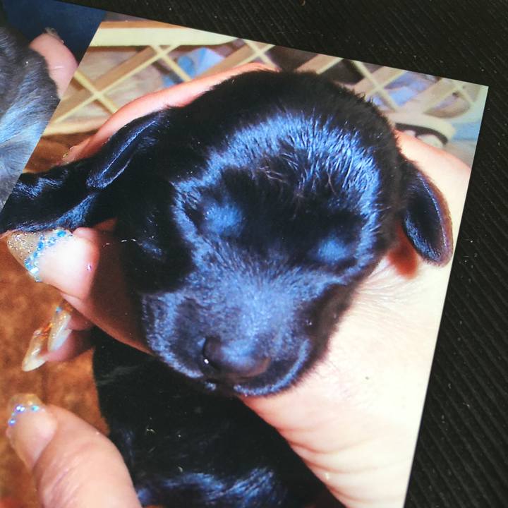 A6180181 eba5 4197 a063 63cbcc3e468b