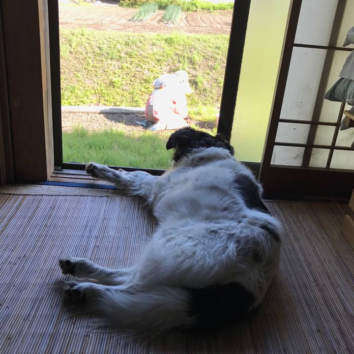 A6180fea 8508 40aa adb7 80435720887b