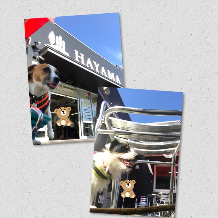 A6181896 76c8 482b 965a dbb7de44fa33