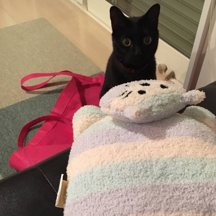 A6190de7 e918 4b6b 945e 40fee3a1af2a