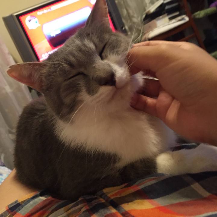 A6194a57 b7a2 458f 80af c7afbb89dc39