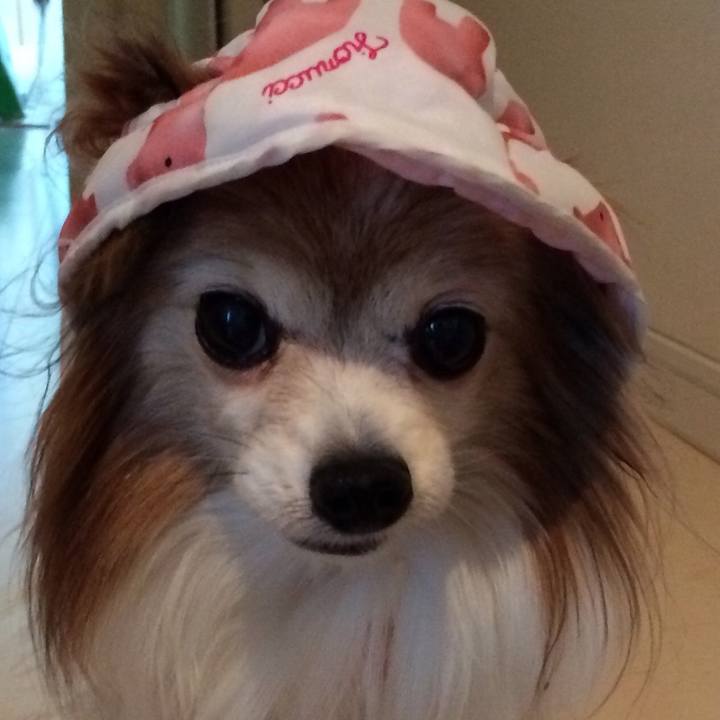 A61a9d43 1e89 40a2 82db 14b7ff0a8fc3