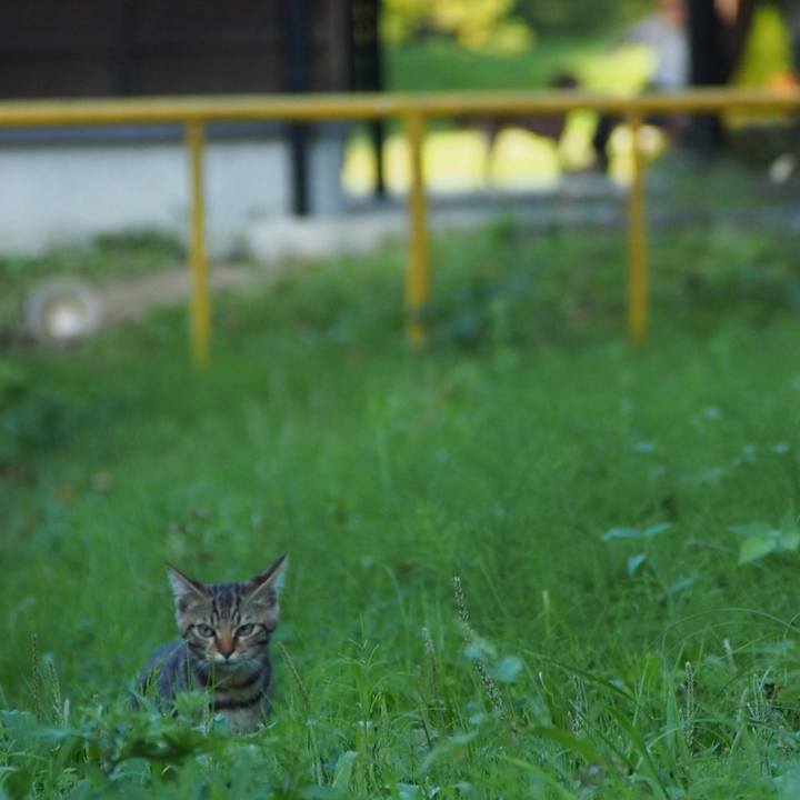 A61ac2fc b8b6 43e3 9a27 6758b716d6e5