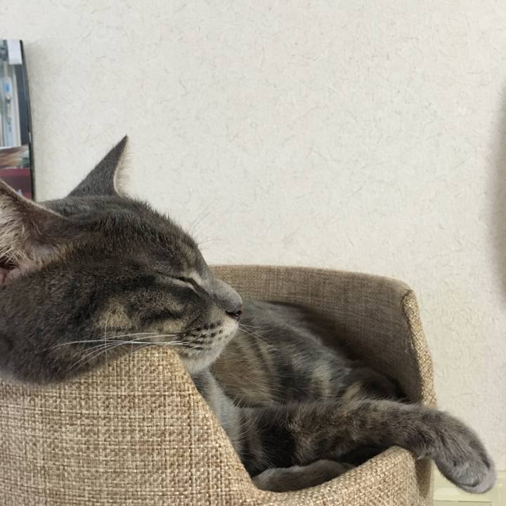 A61adc92 3841 4982 b01f 019615cd05a0