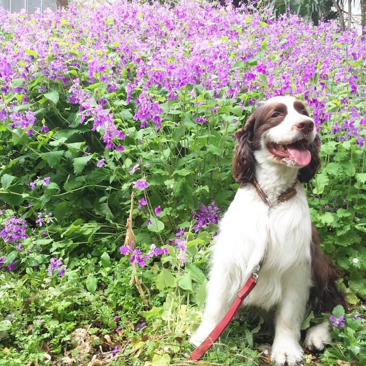 A61b4035 e438 4945 9f87 4de184f9cd98