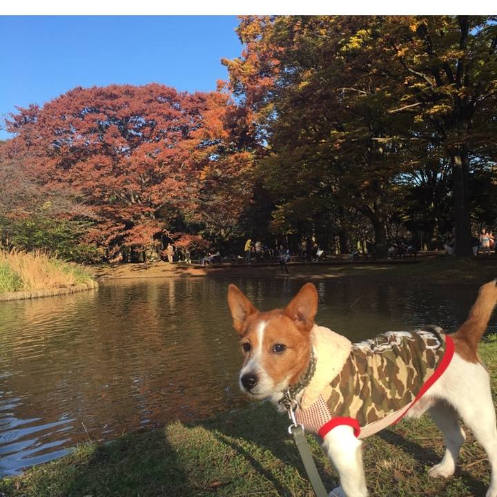 A61b723a 5835 482a 8359 b5947c1d4780