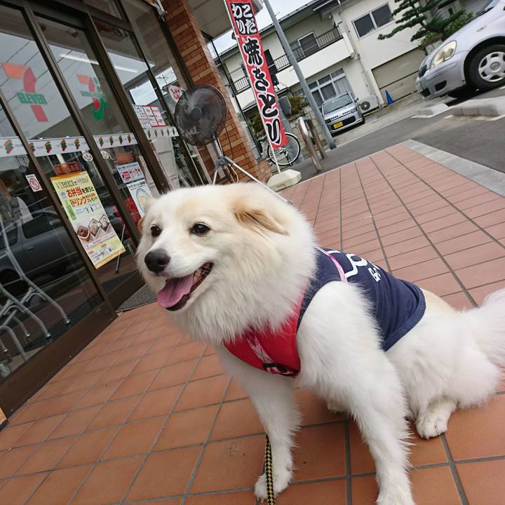 A61ba6af ddfd 458b 8f33 4a6edeb53a7b