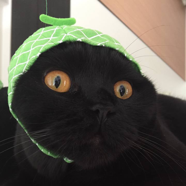 A61bc92d 3edc 40ae a066 879e24f36b7f