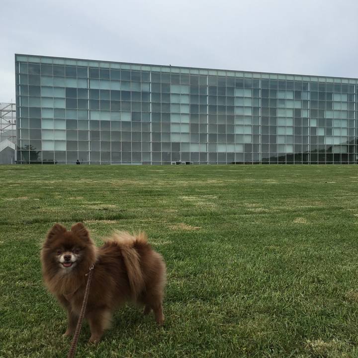 A61c8544 79ed 4c31 8e27 a102855cb10a