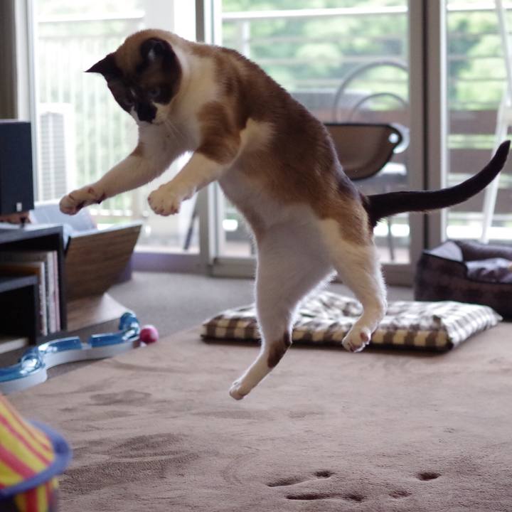 A61d46ba 6dfe 4612 a30d ba6310464979