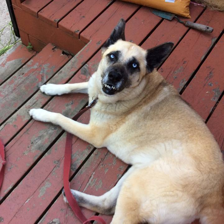 A61d98f8 0ca5 4292 b01a 7777c8bd12aa