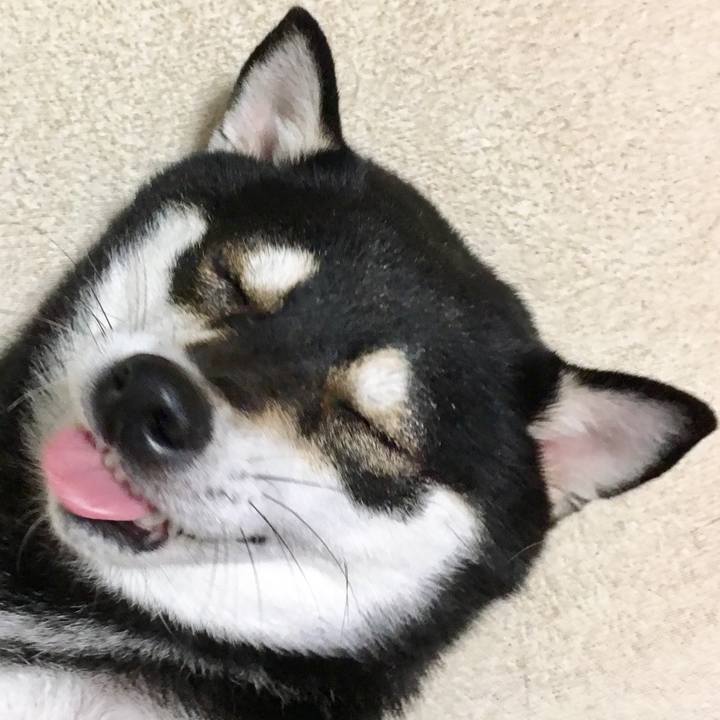 A61ddced d033 41f6 b5d1 046374989e0c