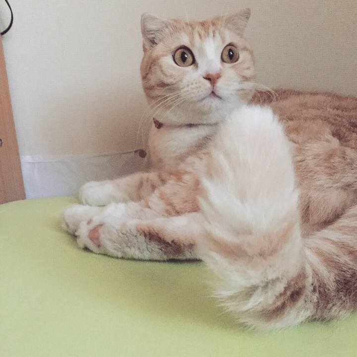 A61de3ab 6b95 40b0 902c 95ef62ce20a7