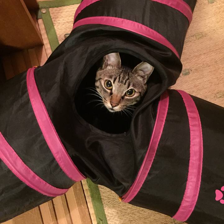 A61e304f 2dbc 4f5d ab54 1b2b40628cc5