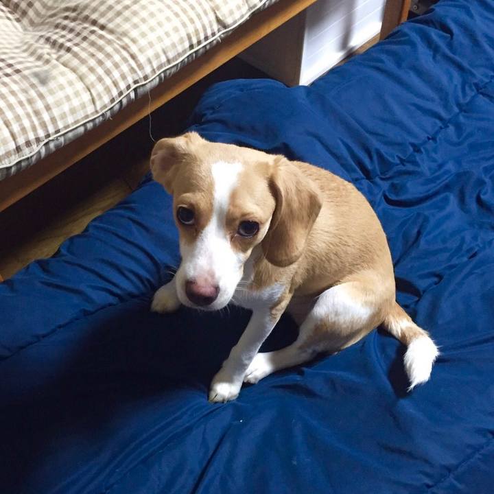 A61eaaef a1d4 46ae a312 fb9ccc07f568