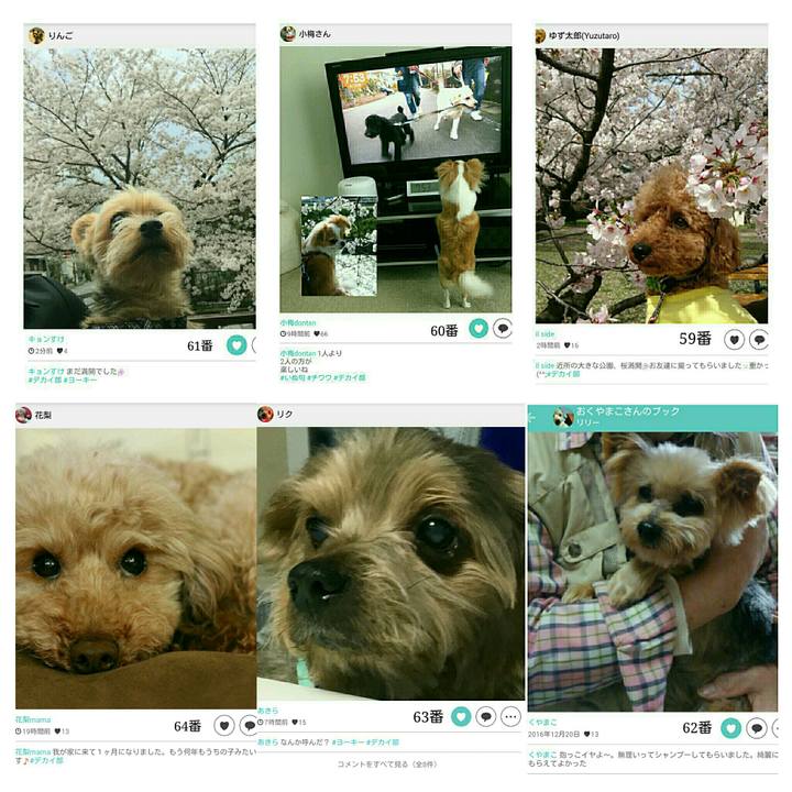 A61edaab 05b3 4ef6 a91d e1efdec0f5f1